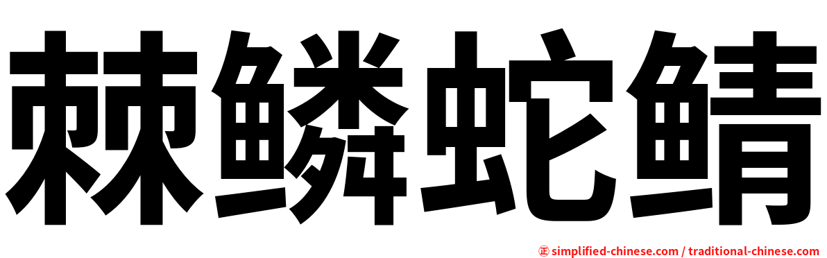 棘鳞蛇鲭