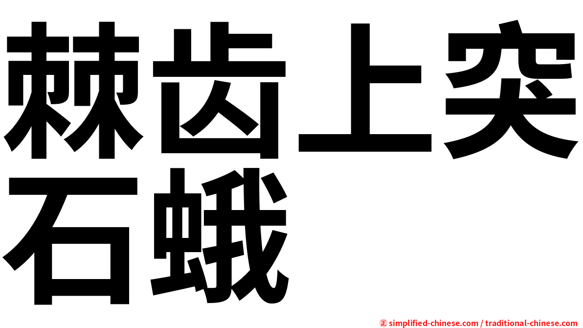 棘齿上突石蛾