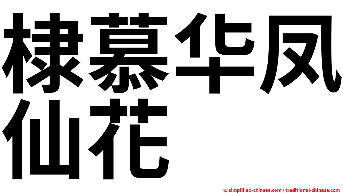 棣慕华凤仙花