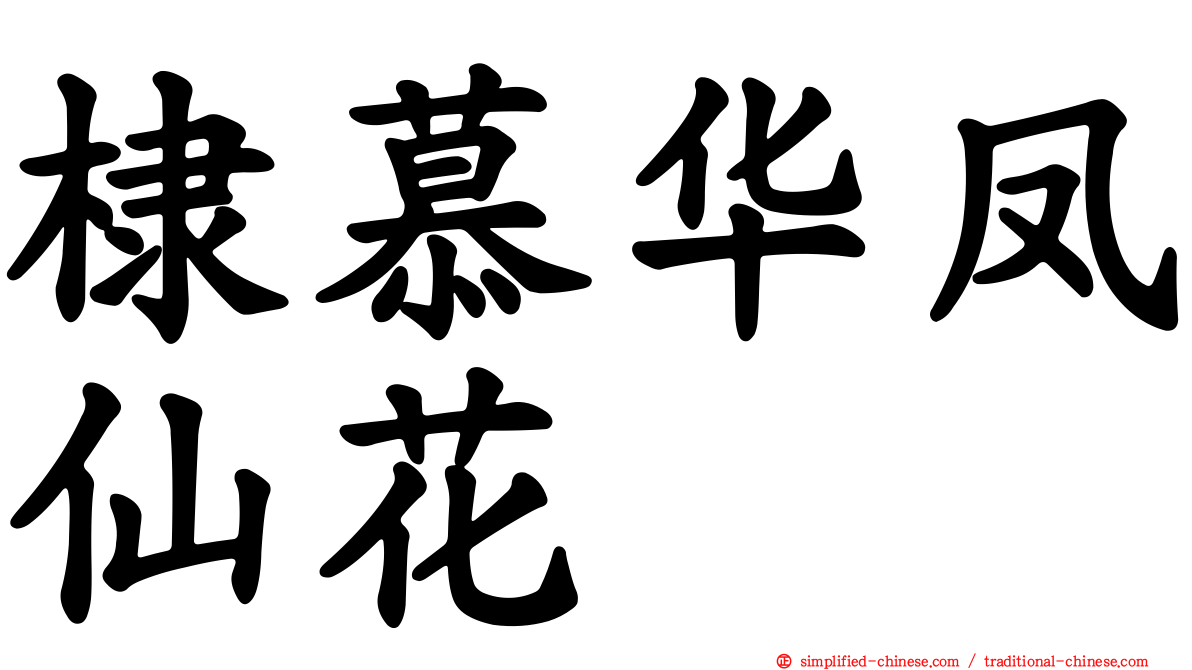 棣慕华凤仙花