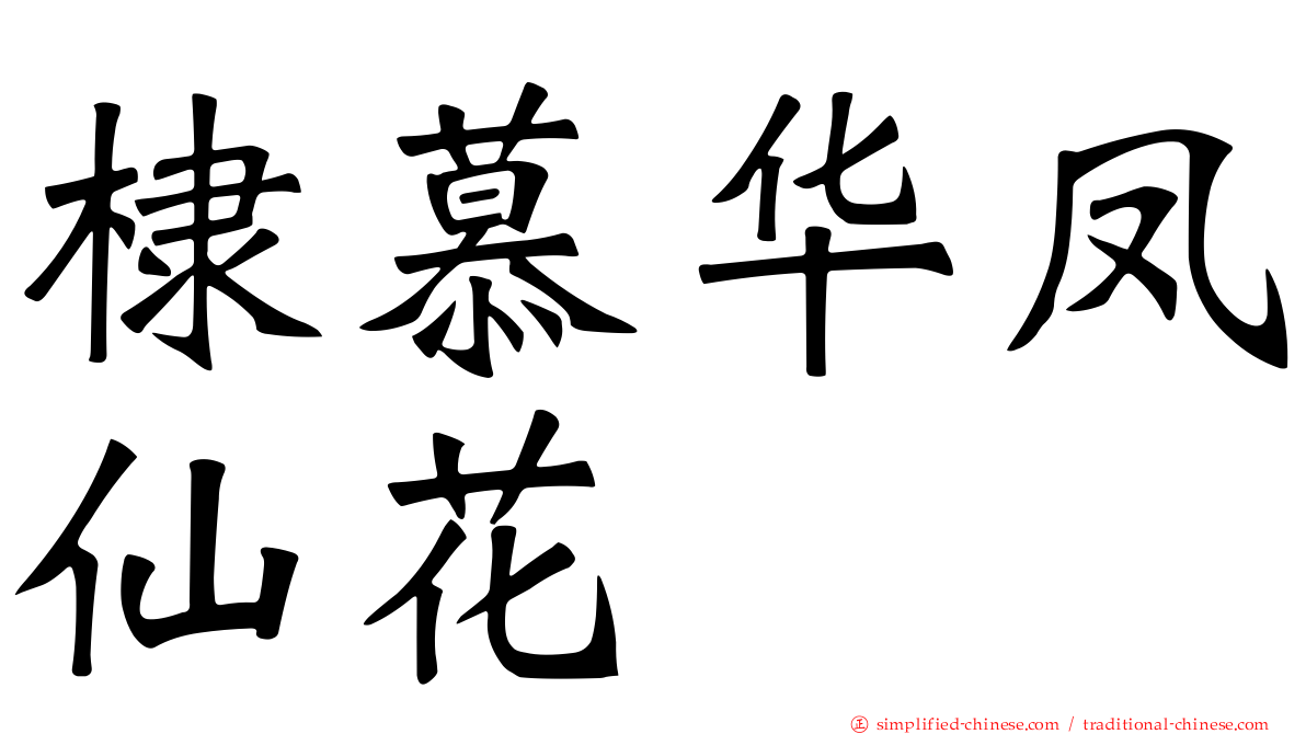 棣慕华凤仙花