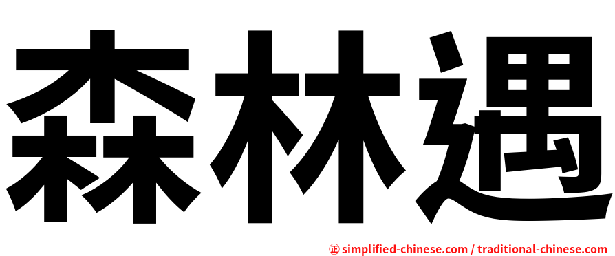 森林遇