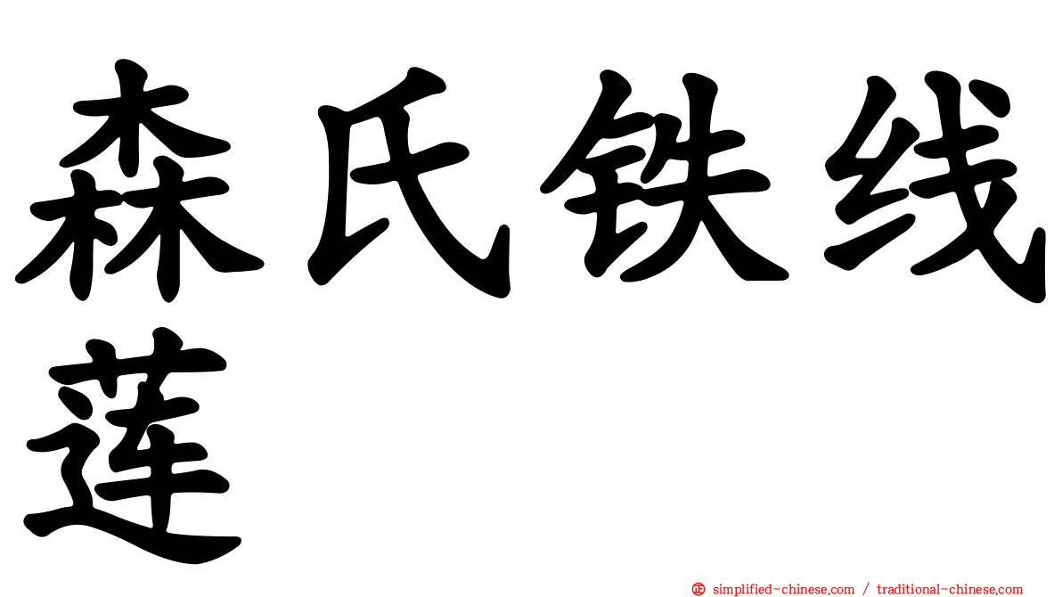 森氏铁线莲