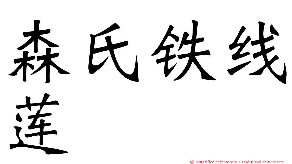 森氏铁线莲