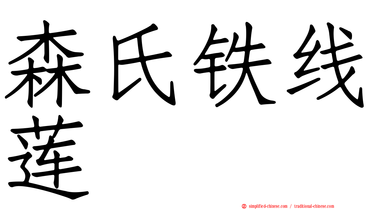 森氏铁线莲