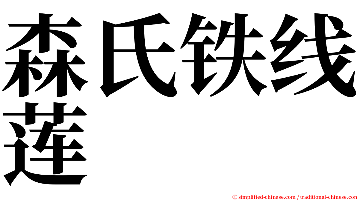 森氏铁线莲 serif font