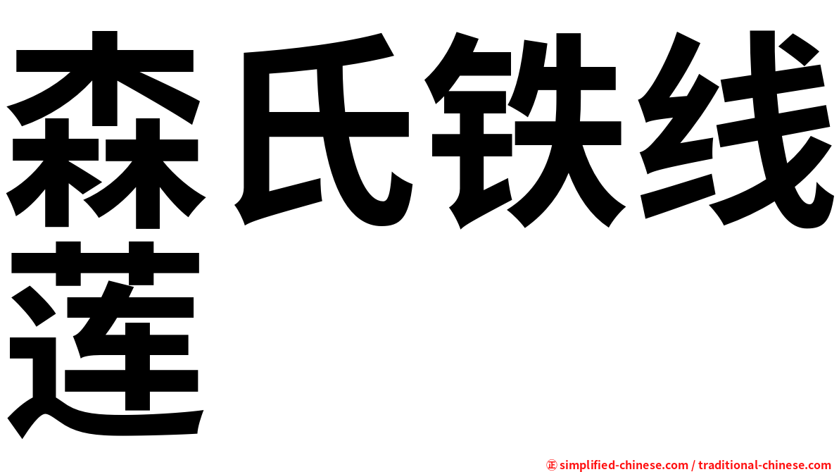 森氏铁线莲