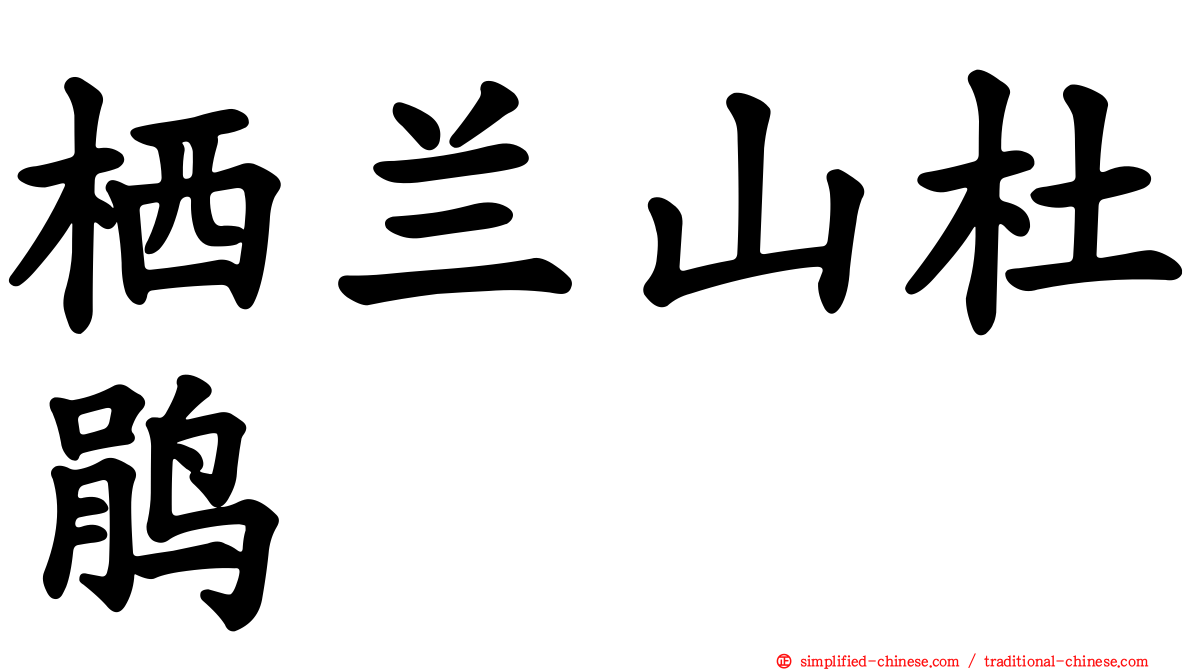栖兰山杜鹃