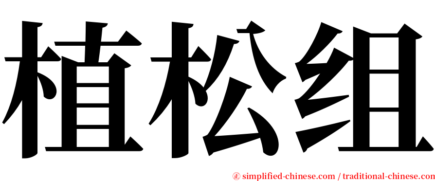 植松组 serif font