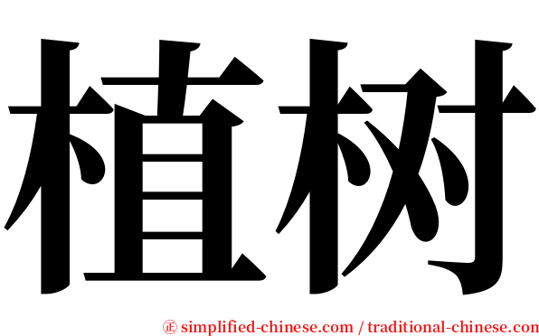 植树 serif font