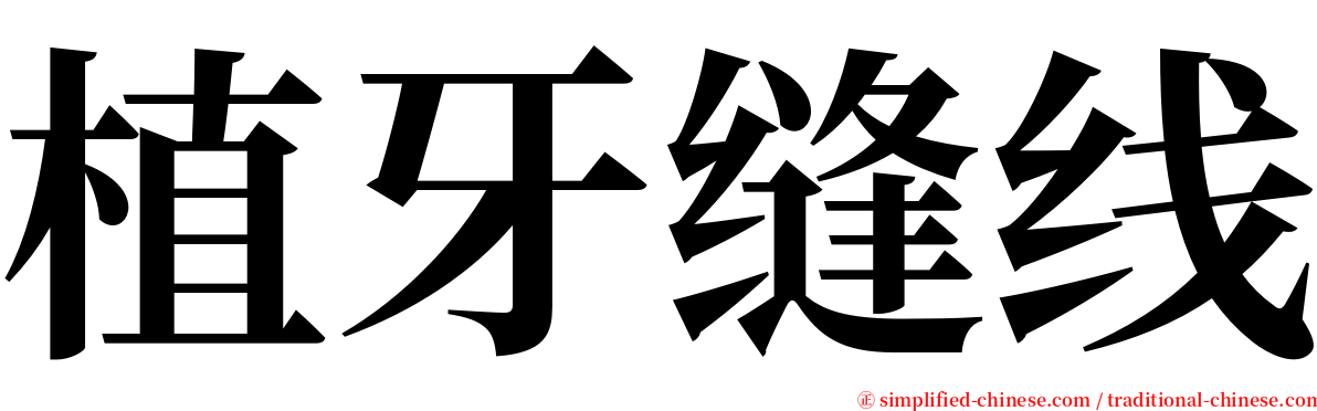 植牙缝线 serif font
