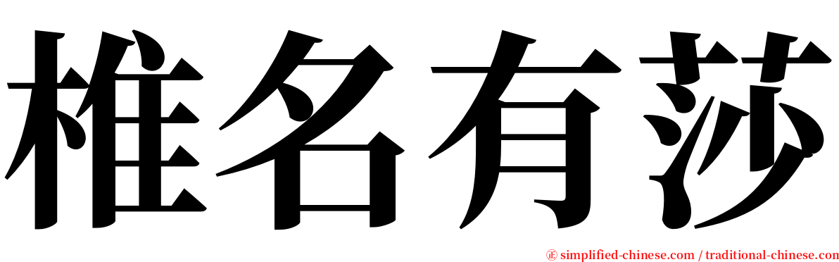 椎名有莎 serif font