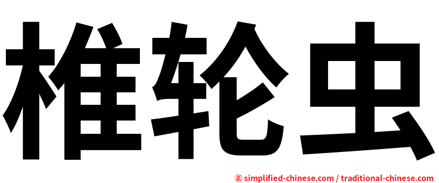 椎轮虫