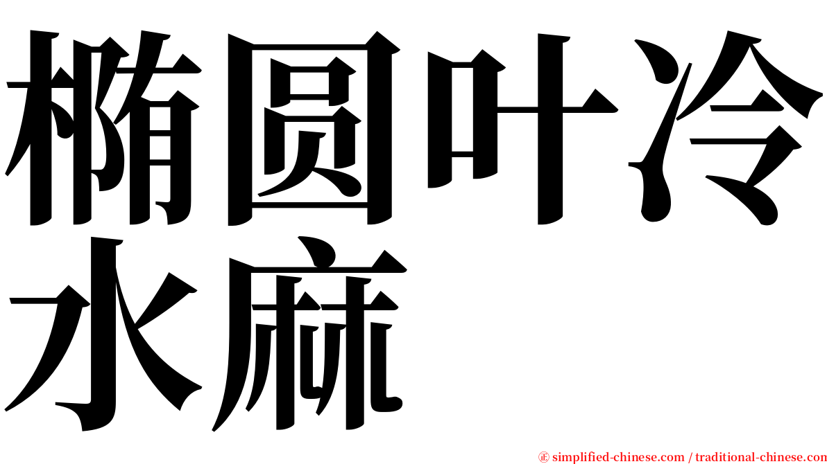 椭圆叶冷水麻 serif font