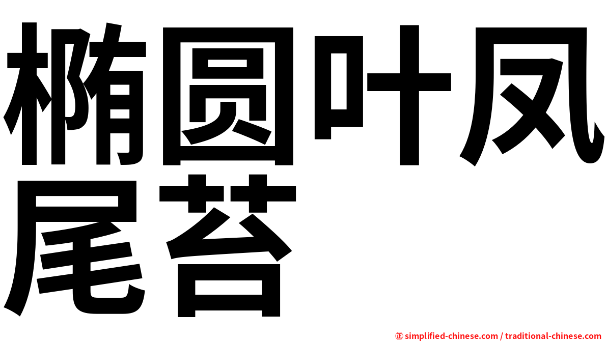 椭圆叶凤尾苔