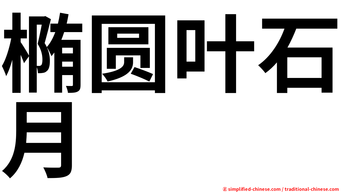 椭圆叶石月