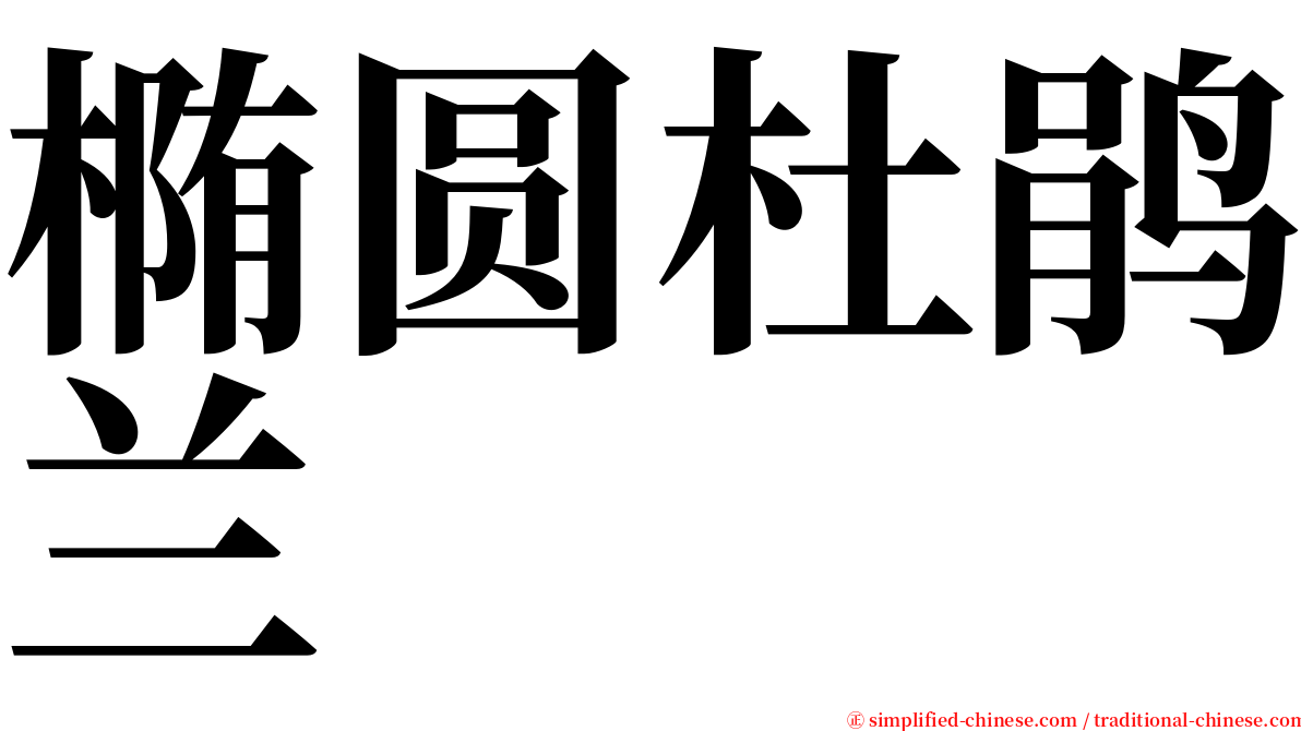 椭圆杜鹃兰 serif font