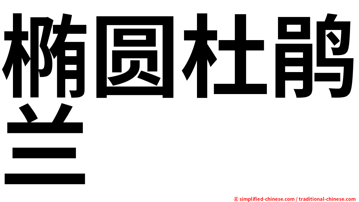 椭圆杜鹃兰