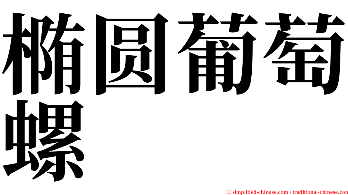 椭圆葡萄螺 serif font