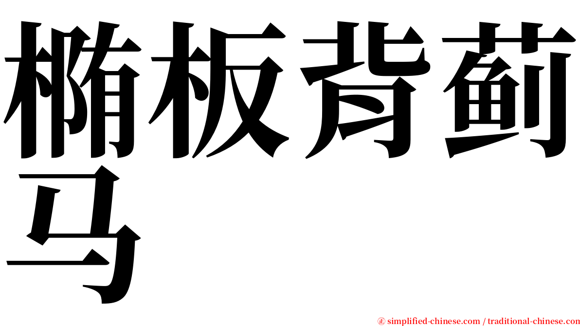 椭板背蓟马 serif font
