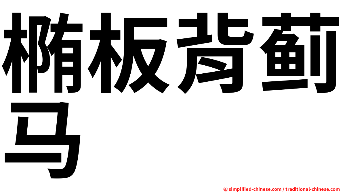 椭板背蓟马