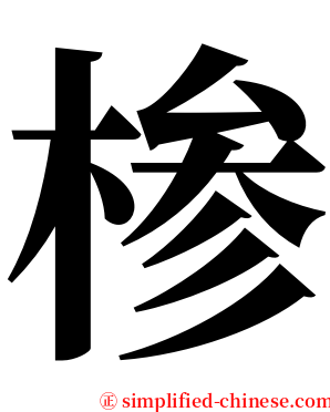 椮 serif font