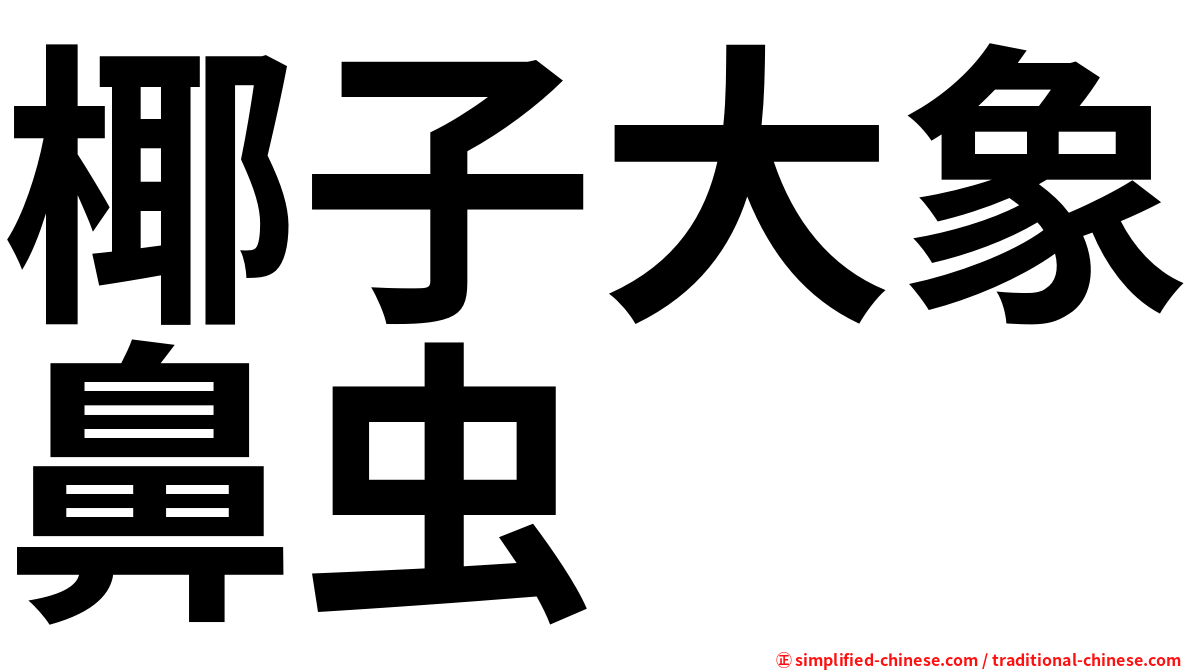 椰子大象鼻虫