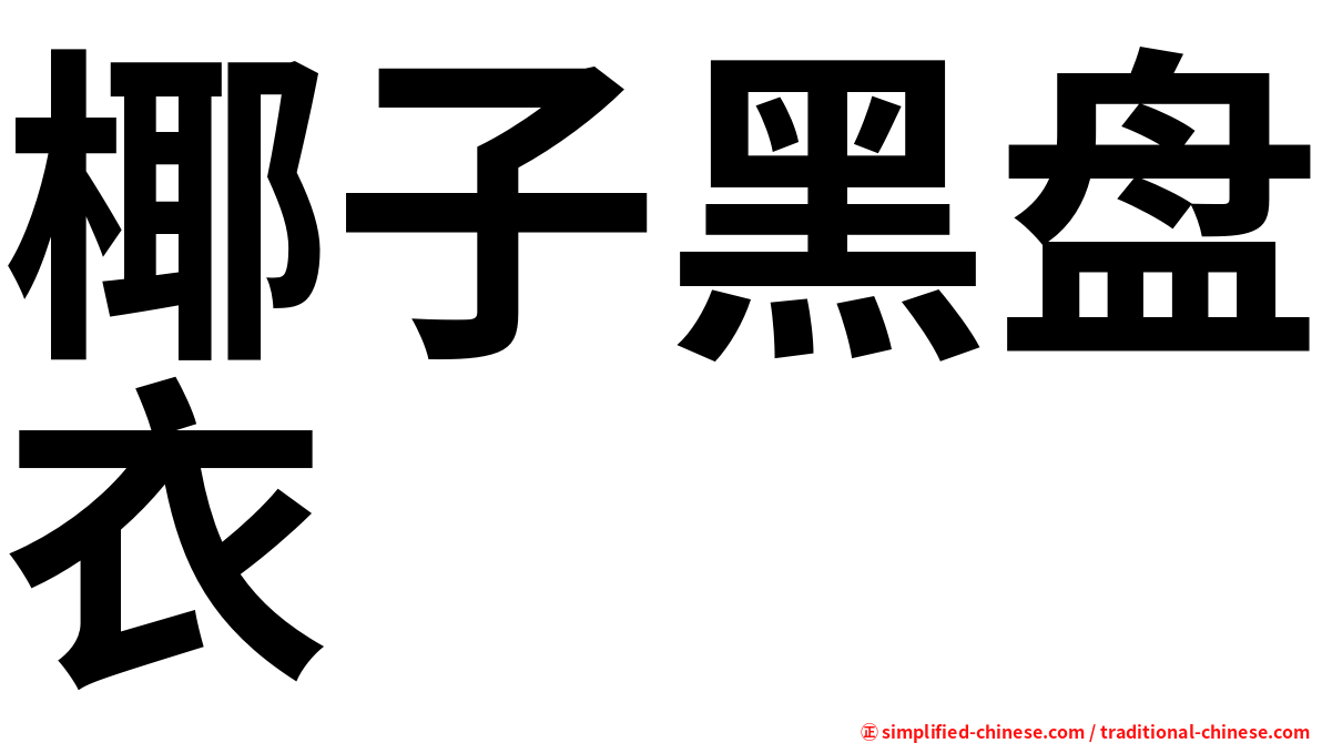 椰子黑盘衣