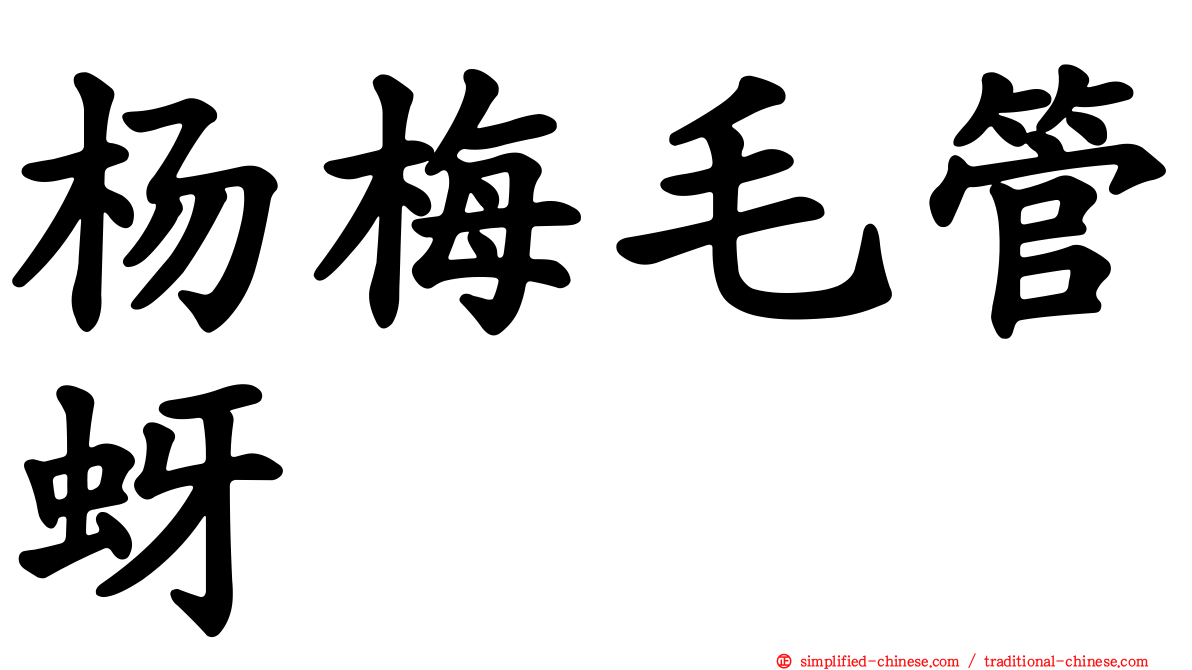 杨梅毛管蚜