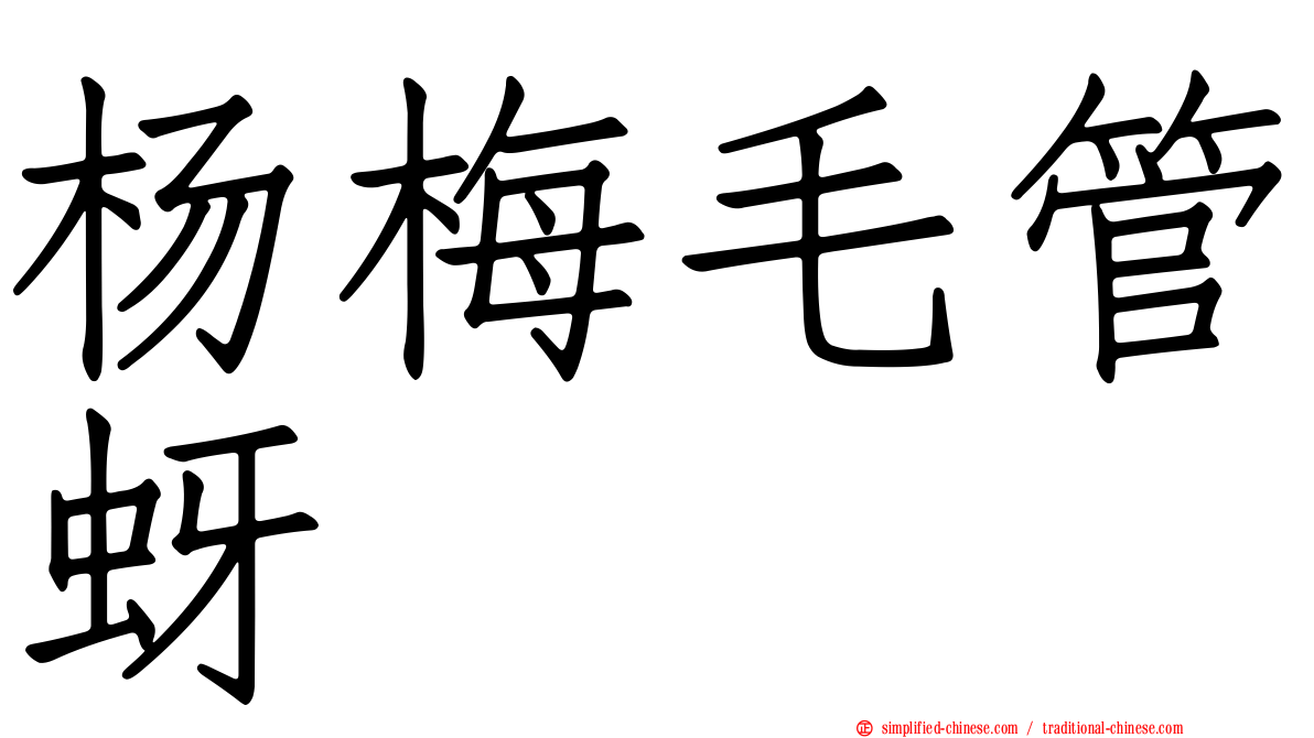 杨梅毛管蚜