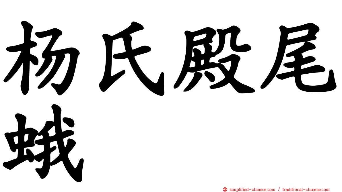 杨氏殿尾蛾