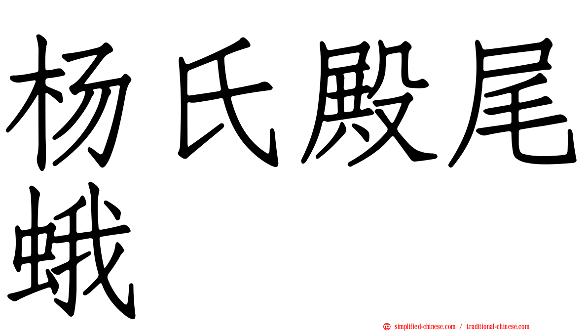 杨氏殿尾蛾