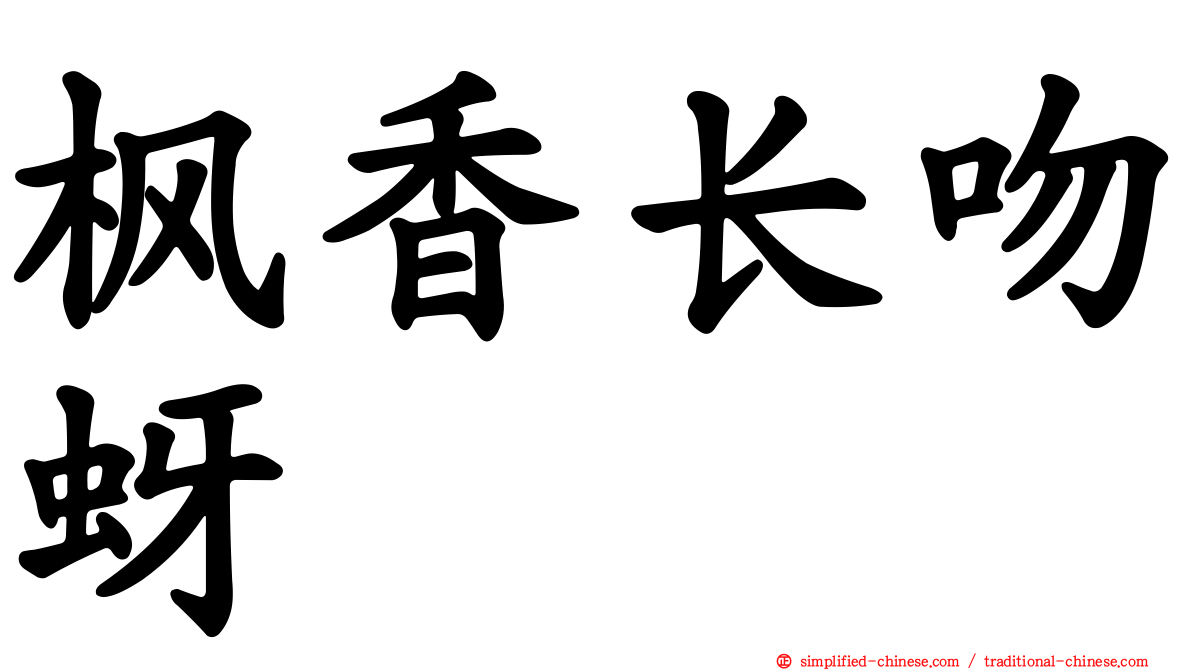 枫香长吻蚜