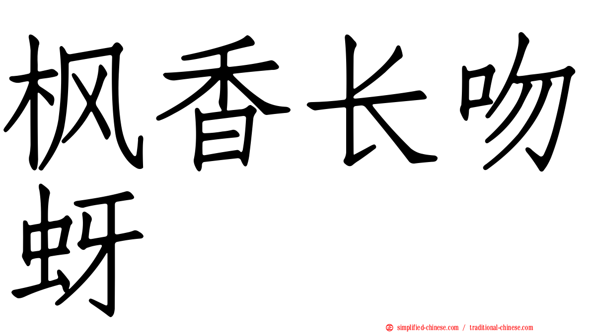 枫香长吻蚜