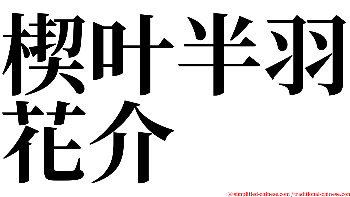 楔叶半羽花介 serif font