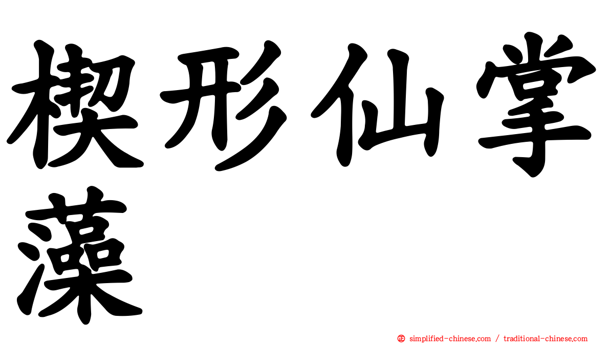 楔形仙掌藻