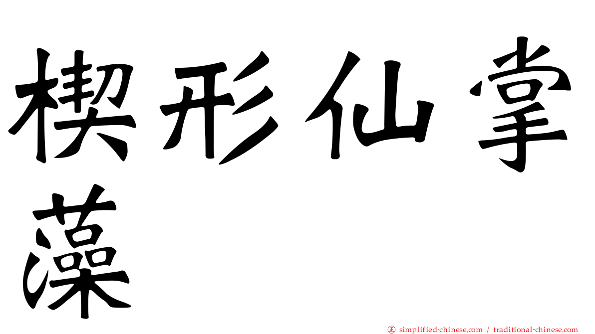 楔形仙掌藻
