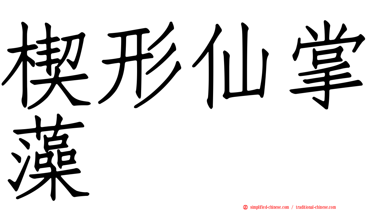 楔形仙掌藻