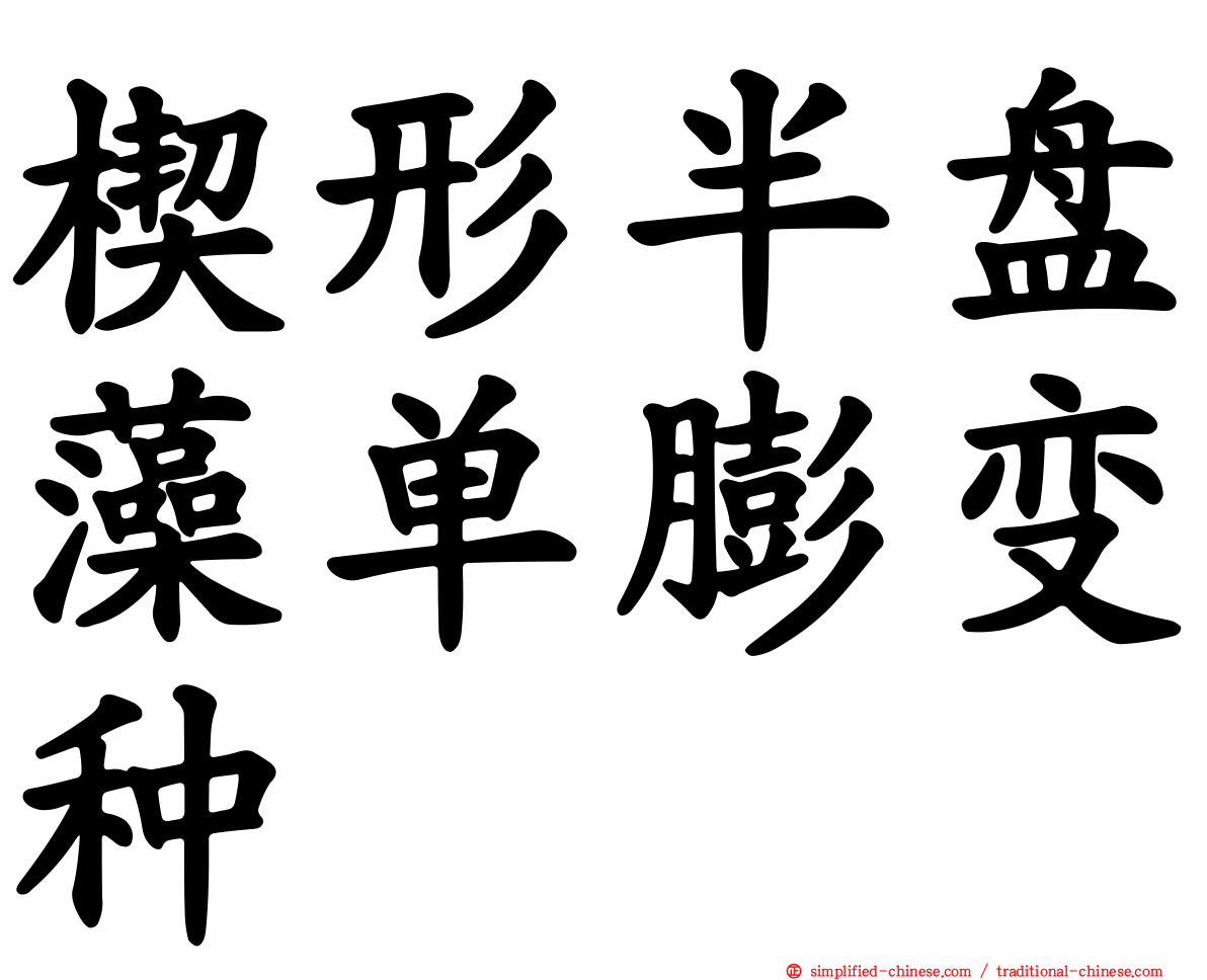 楔形半盘藻单膨变种