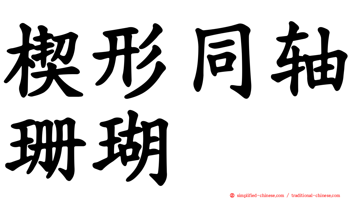 楔形同轴珊瑚