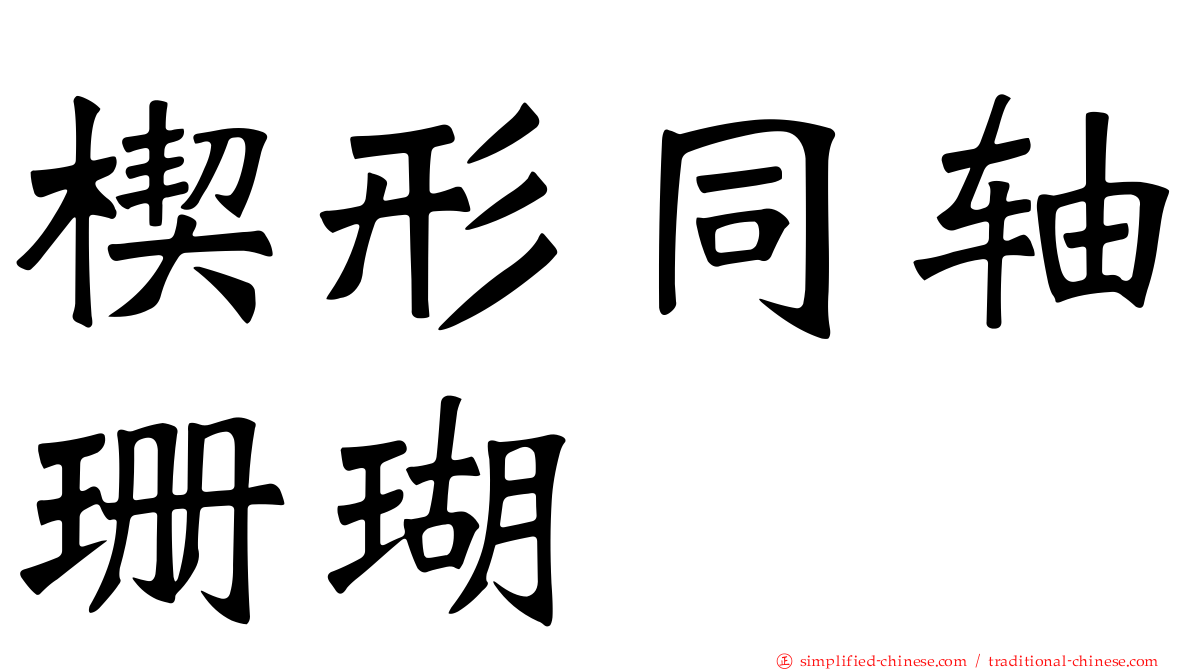 楔形同轴珊瑚
