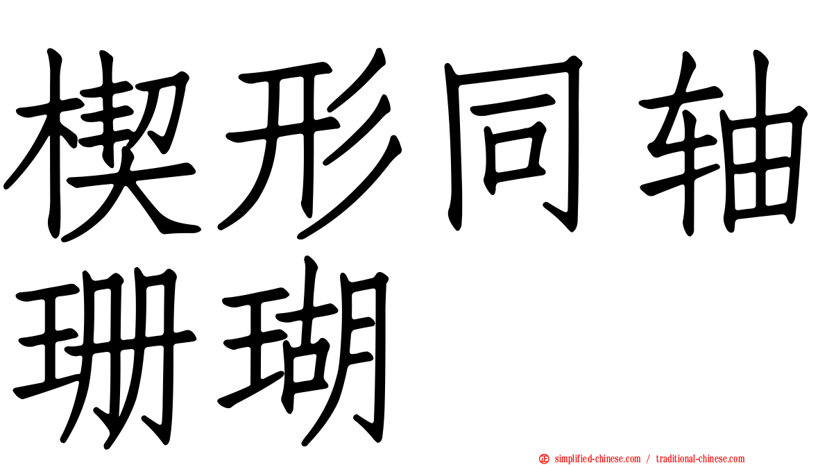 楔形同轴珊瑚