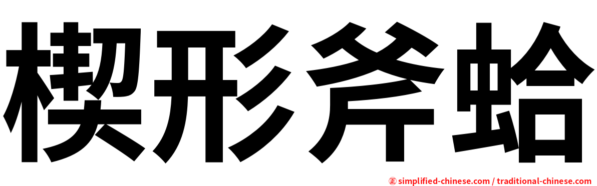 楔形斧蛤