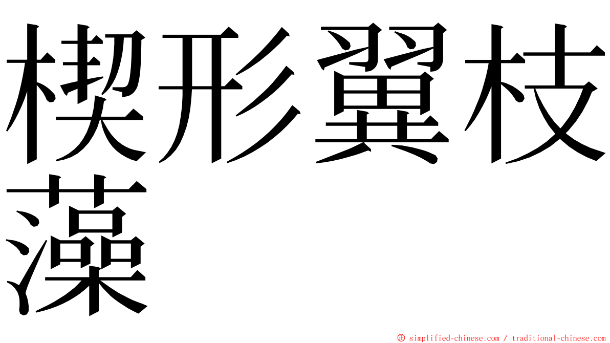 楔形翼枝藻 ming font