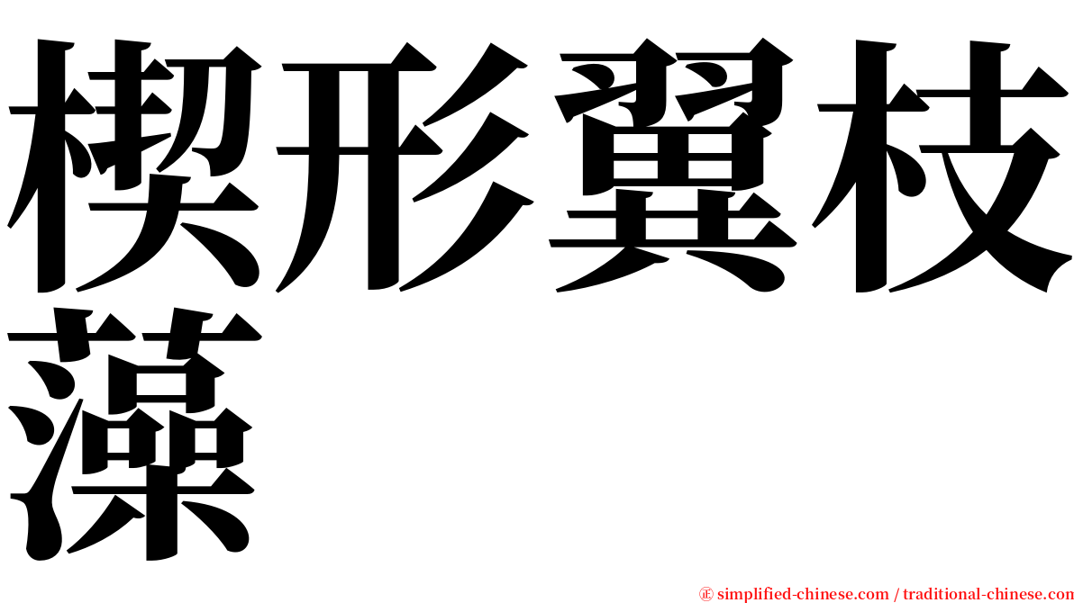 楔形翼枝藻 serif font