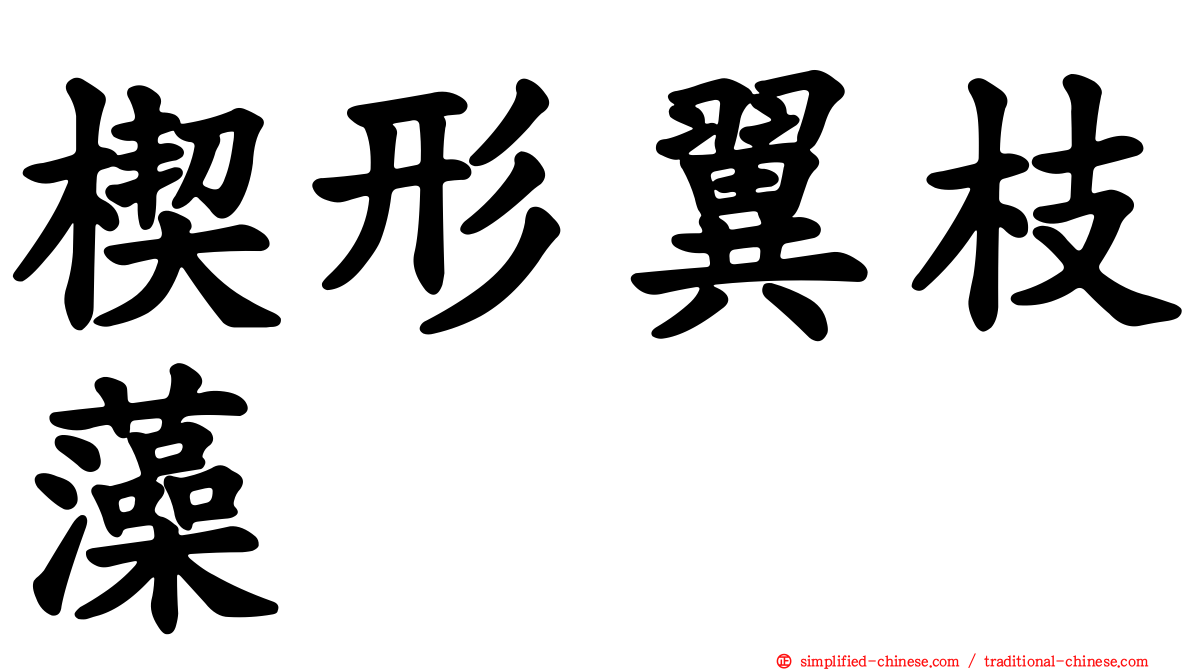 楔形翼枝藻