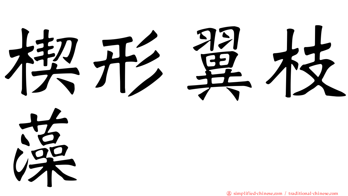 楔形翼枝藻