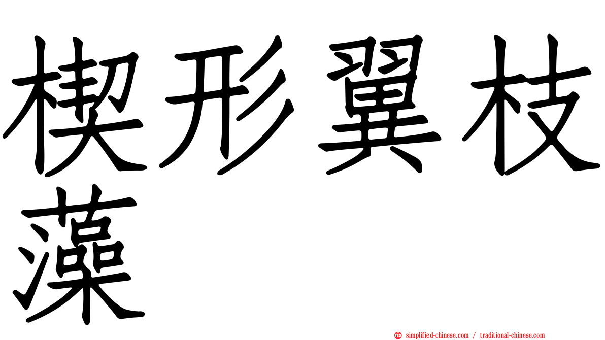 楔形翼枝藻