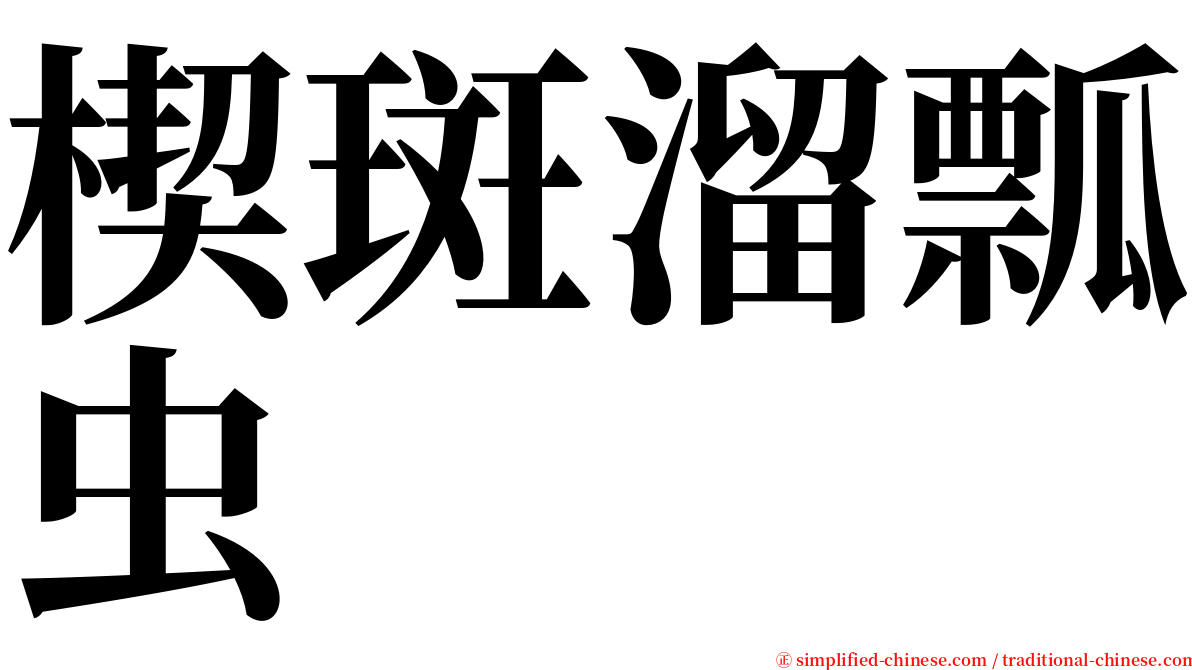 楔斑溜瓢虫 serif font