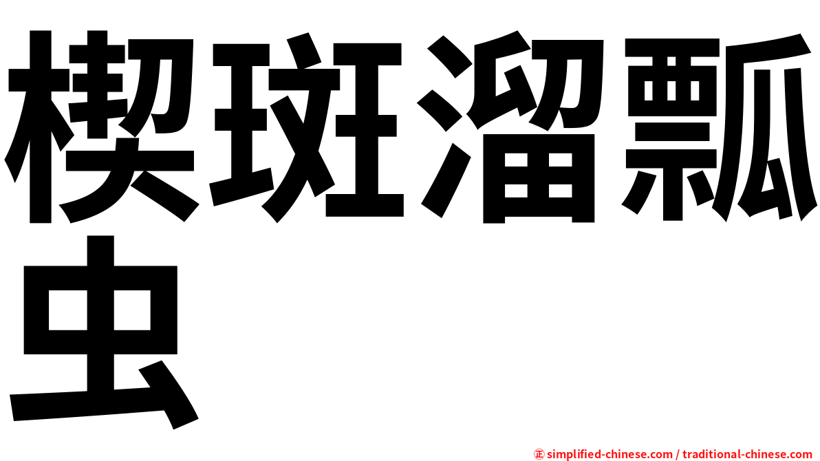 楔斑溜瓢虫